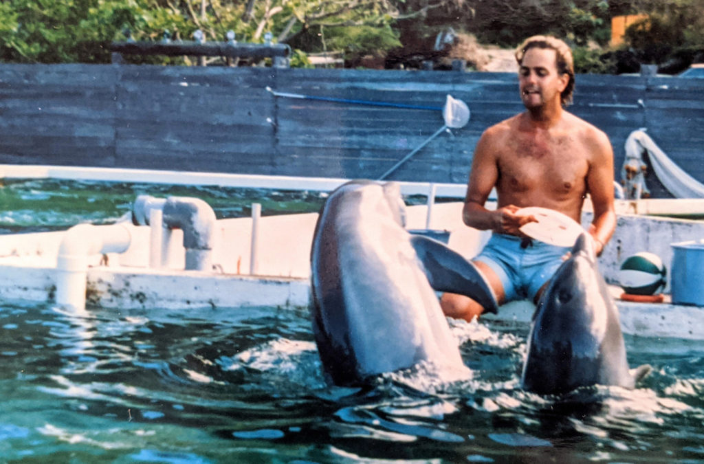 nimble_asset_Hiapo-Elele